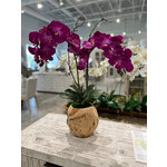 Outside The Box 26" Two Fuchsia Orchid Real Touch In Grapevine Orb
