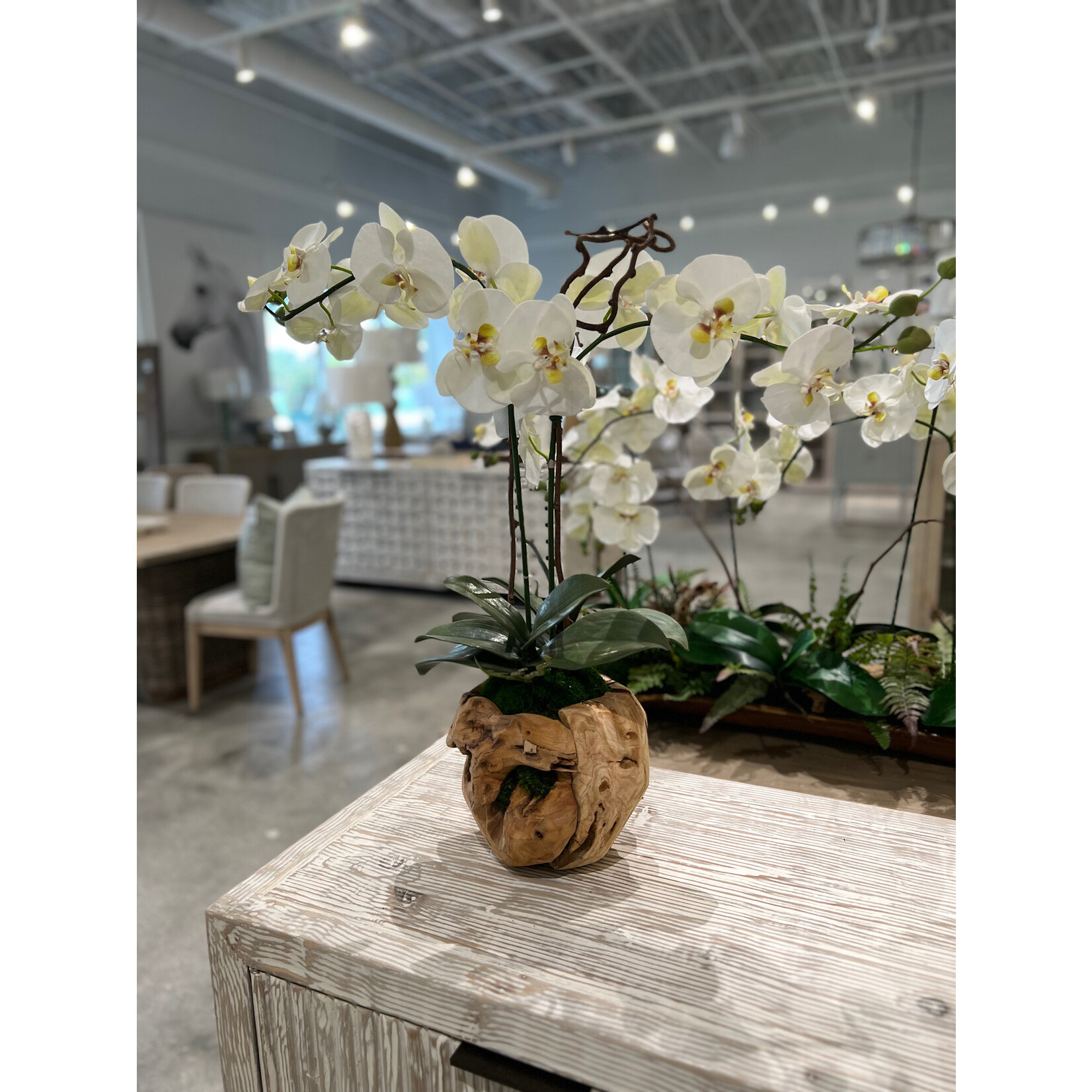 Outside The Box 26" Two White Orchid Real Touch In Grapevine Orb