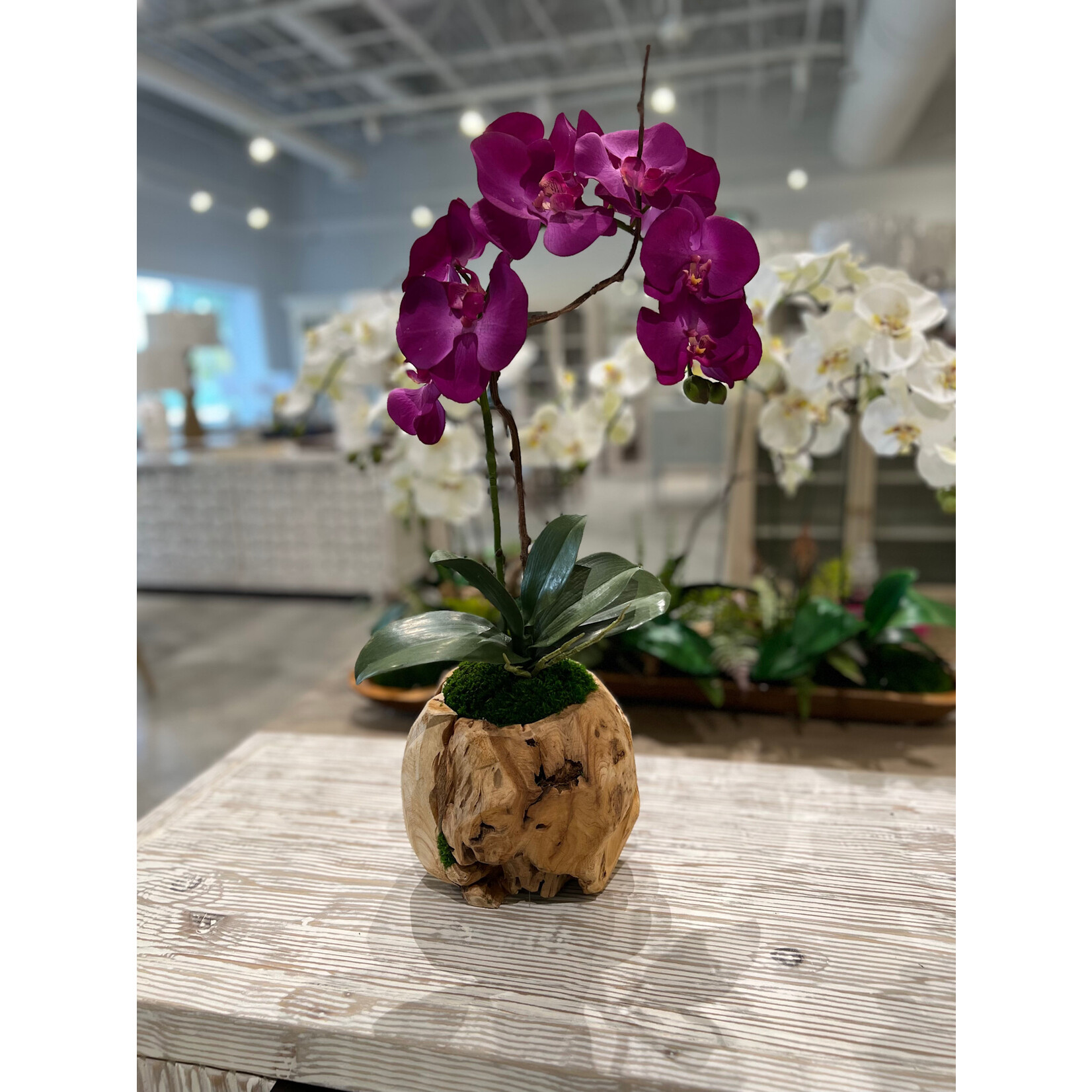 Outside The Box 26" Single Fuchsia Orchid Real Touch In Grapevine Orb