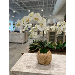 Outside The Box 26" Single White Orchid Real Touch In Grapevine Orb