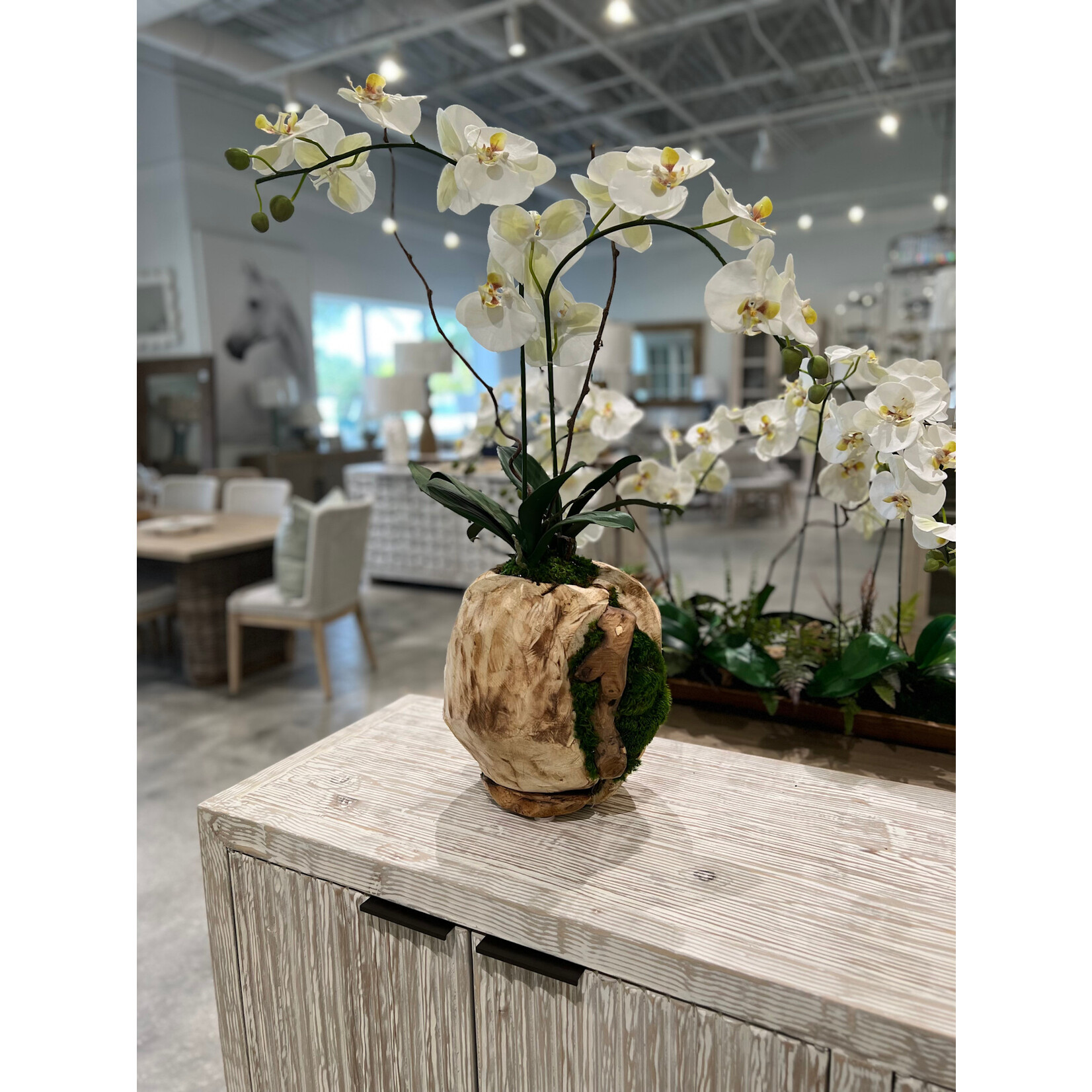Outside The Box 33” Two White Orchid Real Touch In Handcrafted Wood Sphere