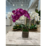 Outside The Box 23" Single Fuchsia Orchid Real Touch In Concrete Bowl