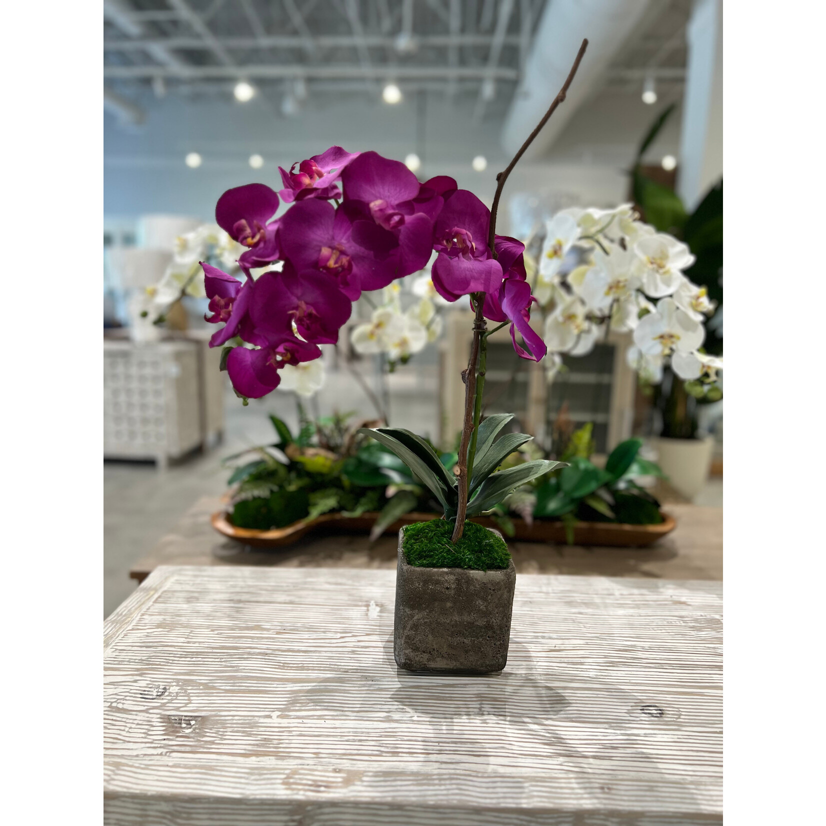 Outside The Box 23" Single Fuchsia Orchid Real Touch In Concrete Bowl