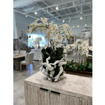 Outside The Box 33" Five White Orchid In Handcrafted White Tumbled Grapewood Base