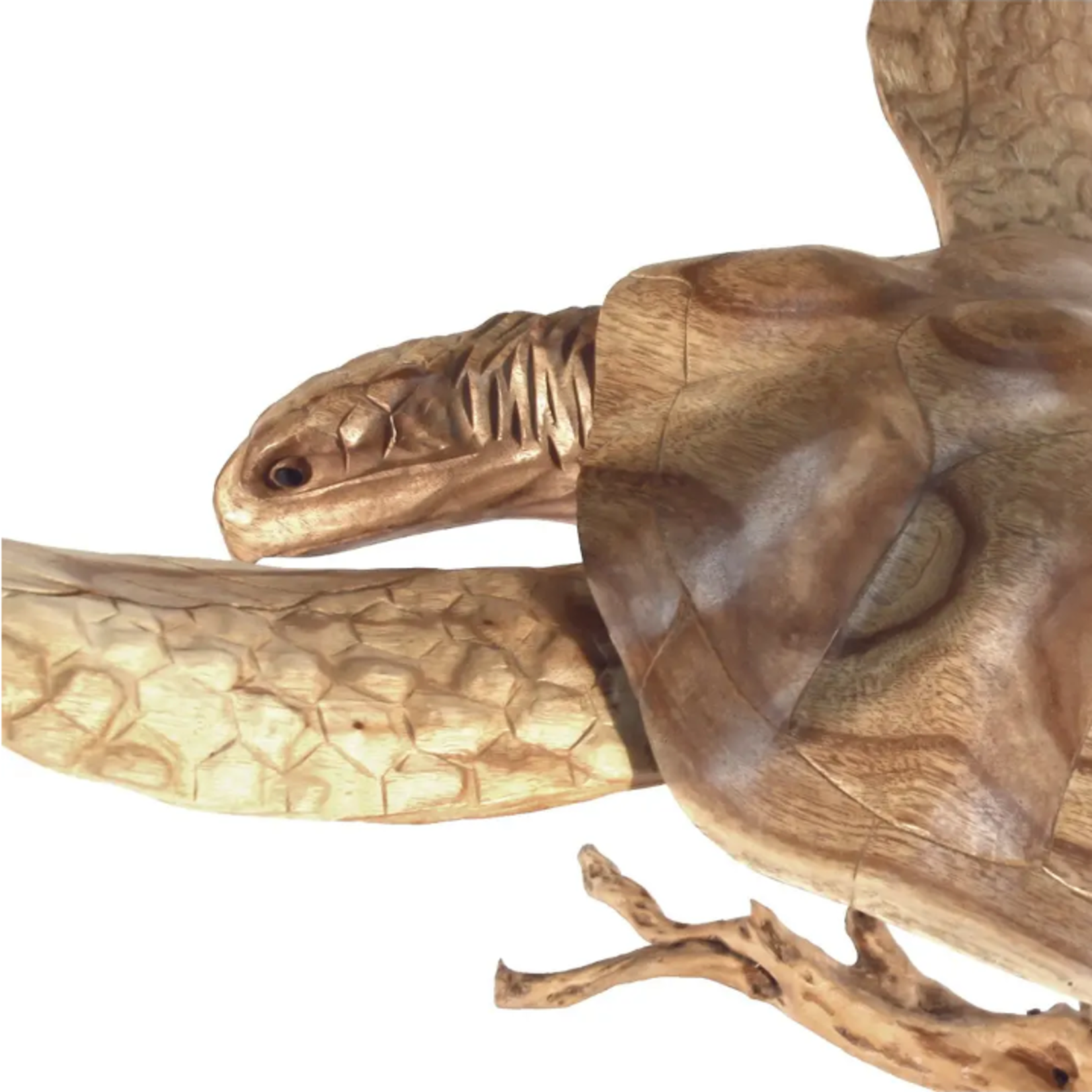Outside The Box 34x31x18 Sea Turtle Hand Carved Jempinis Wood Sculpture