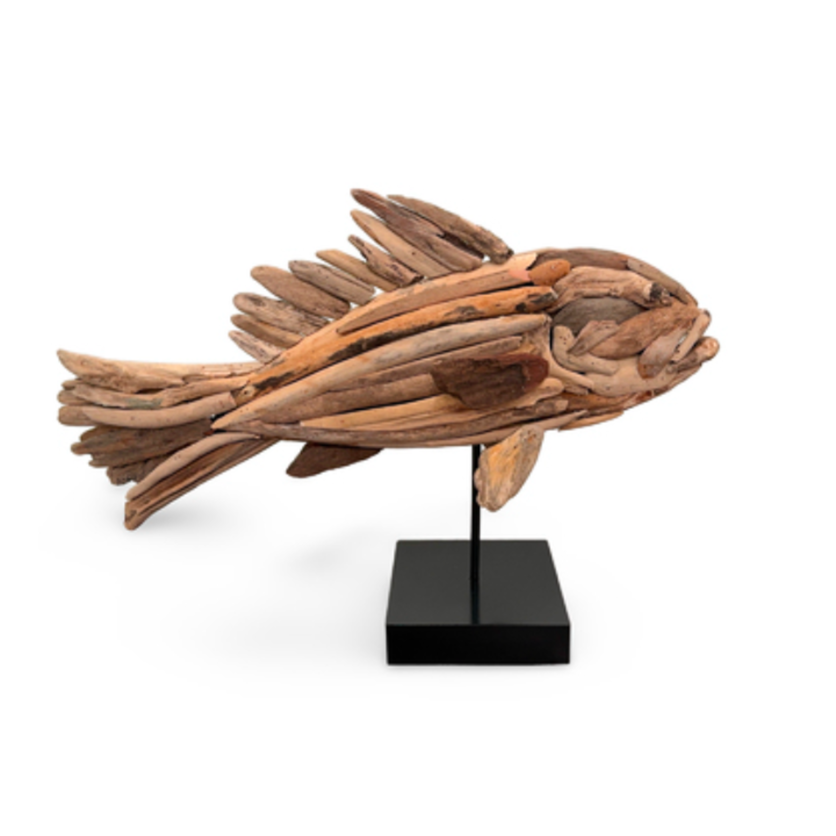 Outside The Box 30x8x20 Tuna Driftwood Sculpture on Base