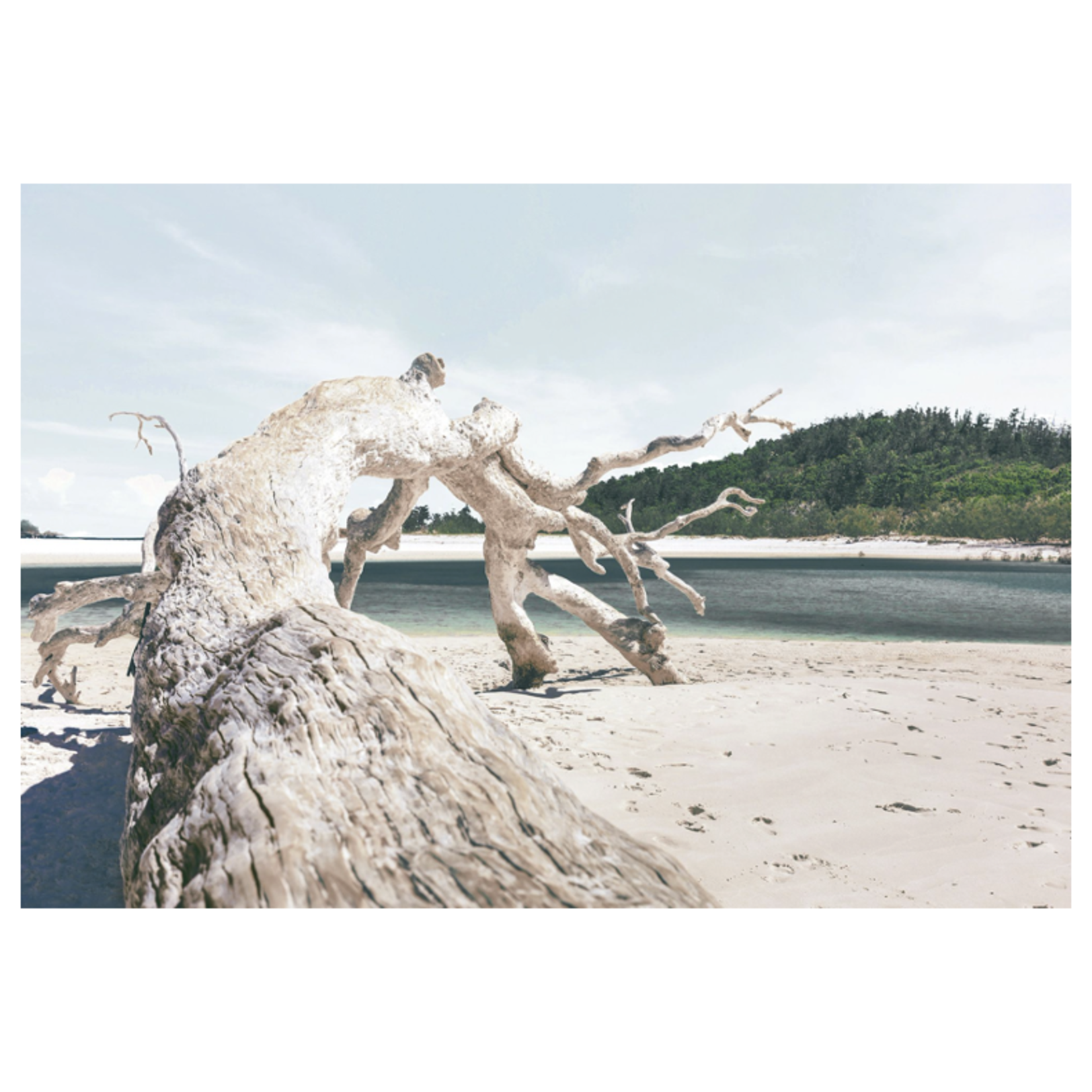 Outside The Box 67x46 Driftwood Perspective Art  On Acrylic