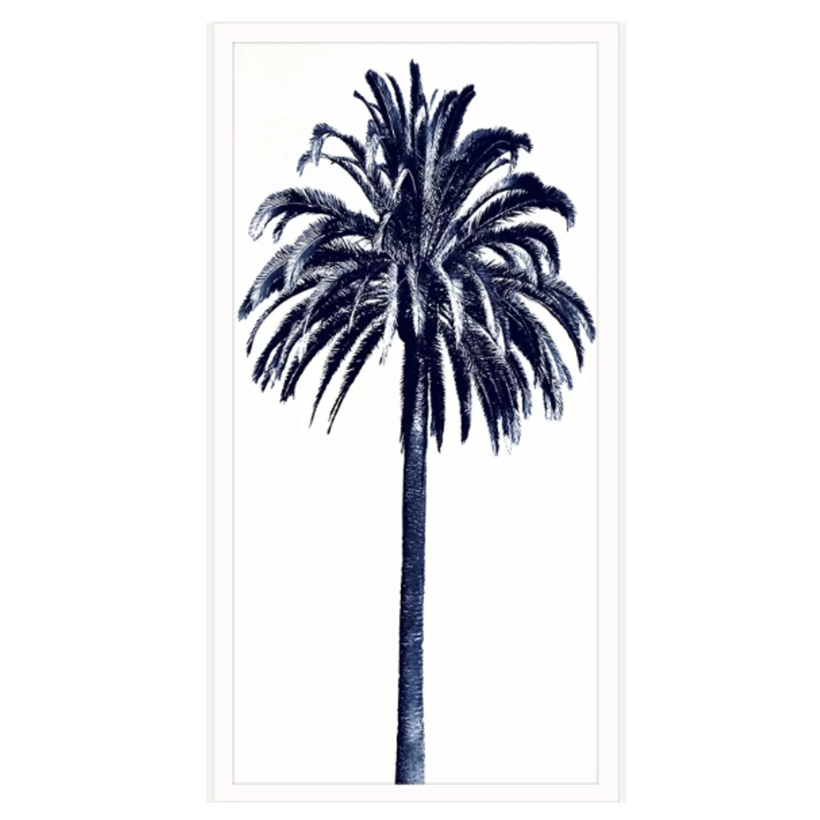 Outside The Box 50x26 Palm Tree Blue 3  Art