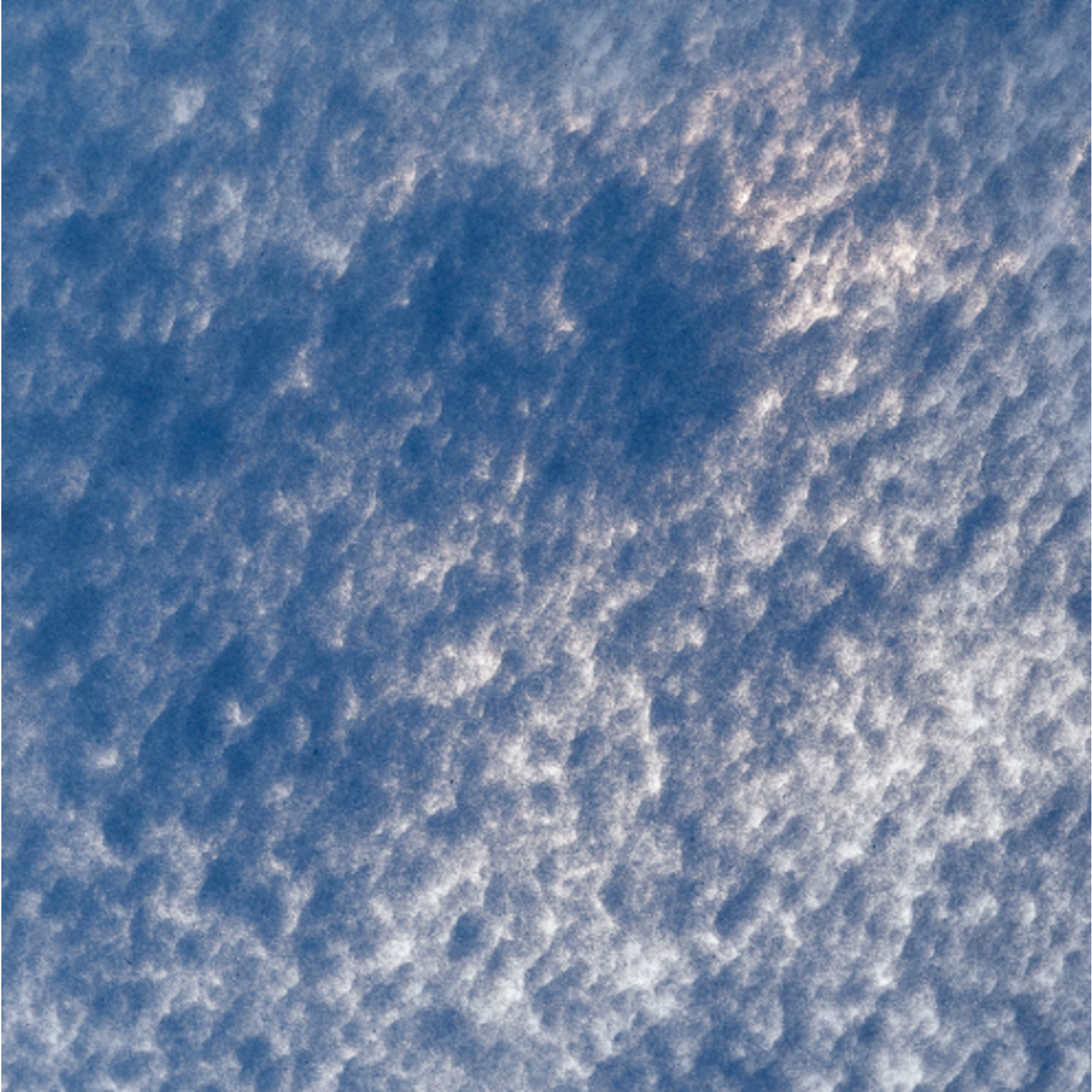 Outside The Box 15" Puddle Blue Hand Blown Glass Vase