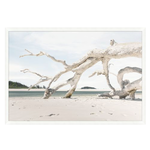 Outside The Box 67x46 Driftwood Composition Art With White Frame