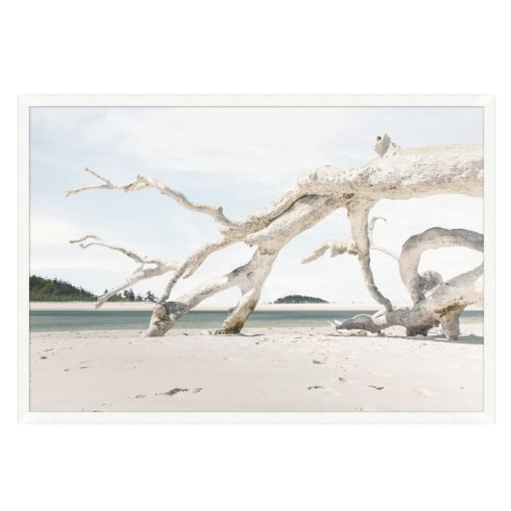 Outside The Box 67x46 Driftwood Composition Art With White Frame