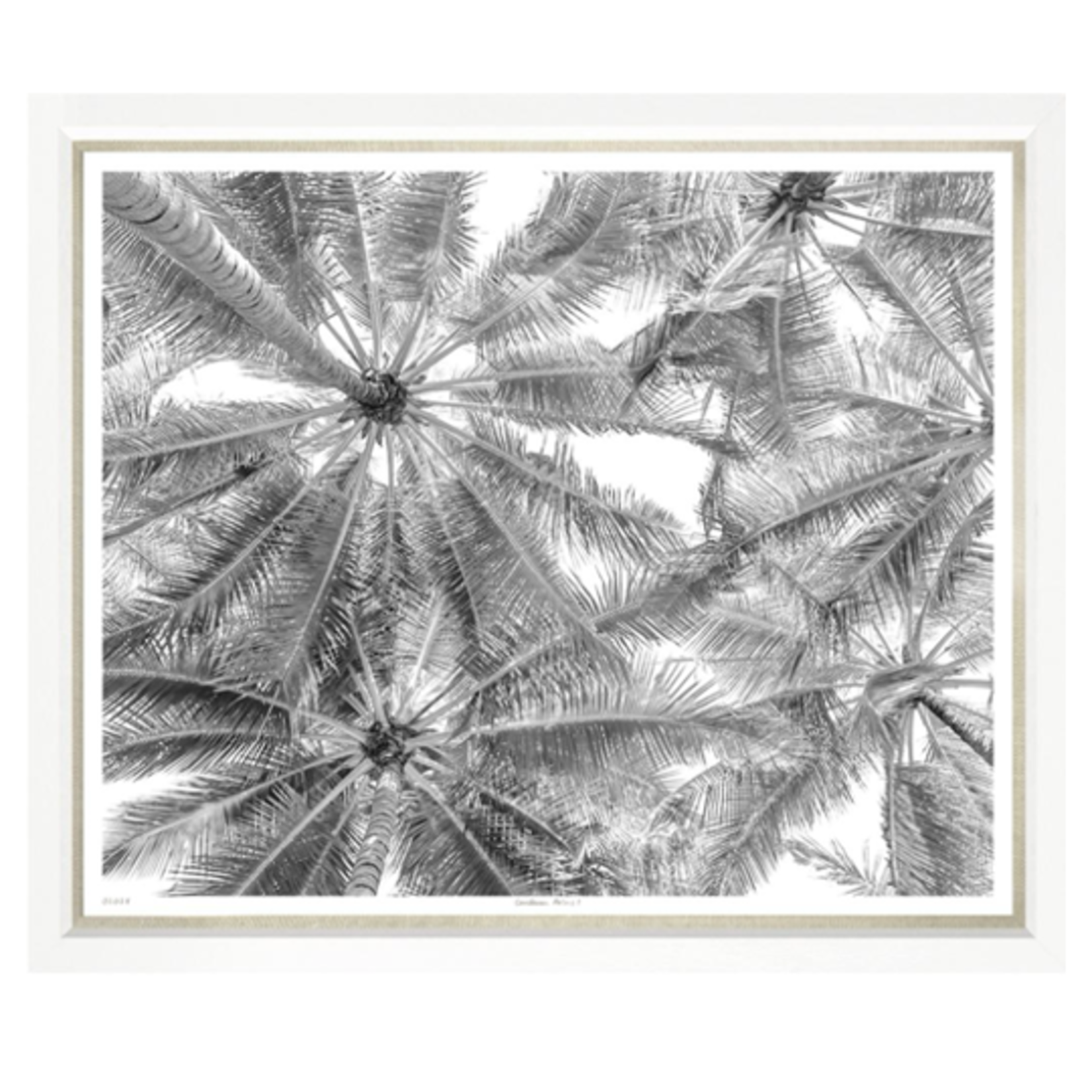 Outside The Box 50x43 Trowbridge Caribbean Palms 1 Art White Frame With Linen Slip