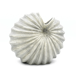 Outside The Box 8" Palm White & Black Lines Handcrafted Porcelain Vase