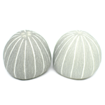Outside The Box 2" Sea Shell Pebble Gray Textured Salt & Pepper Shaker Set