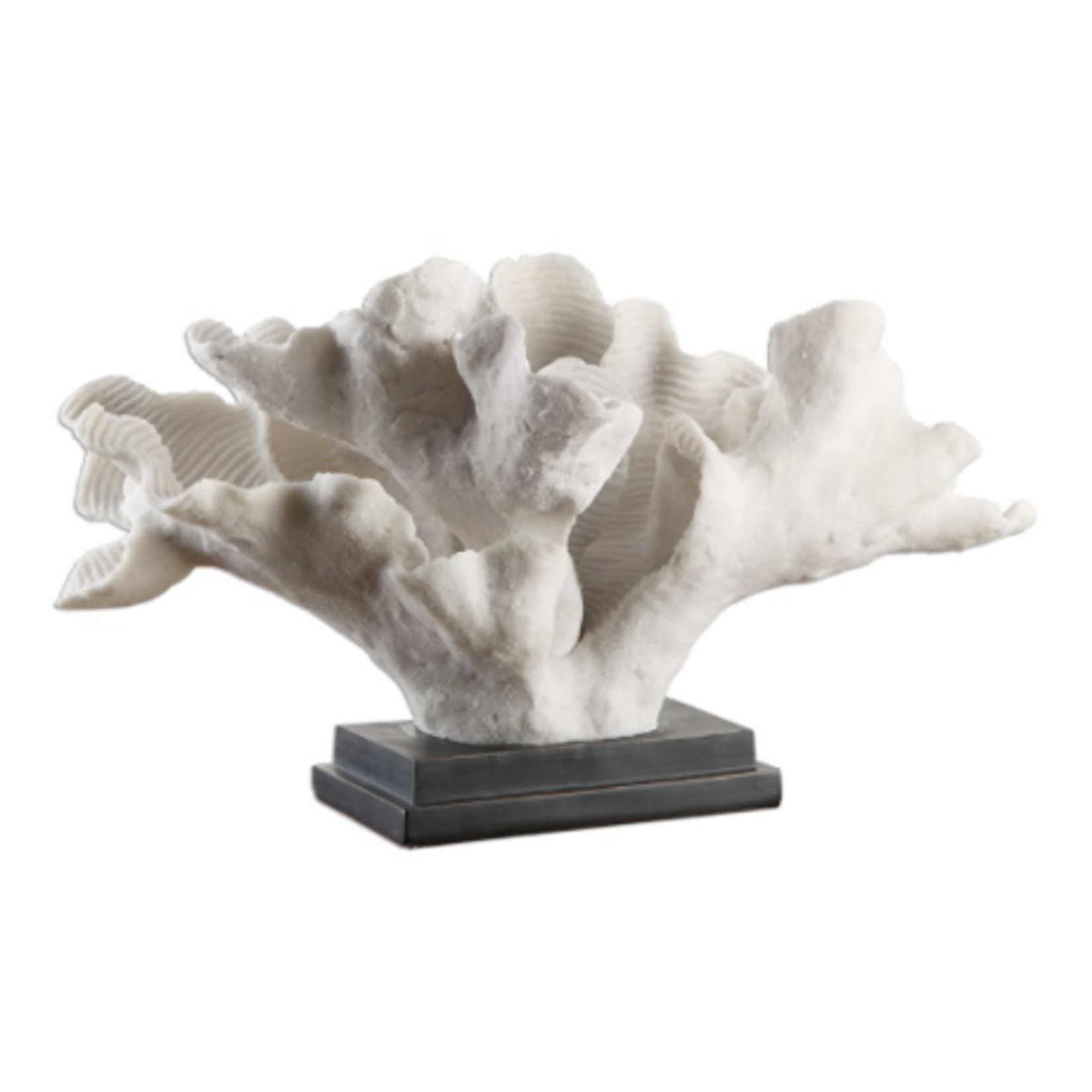 Outside The Box 12" Blade White Coral Sculpture