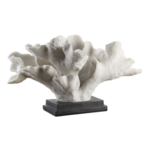 Outside The Box 12" Blade White Coral Sculpture