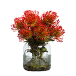 Outside The Box 15" Orange Pin Cushion Protea In Waterlike Glass Vase