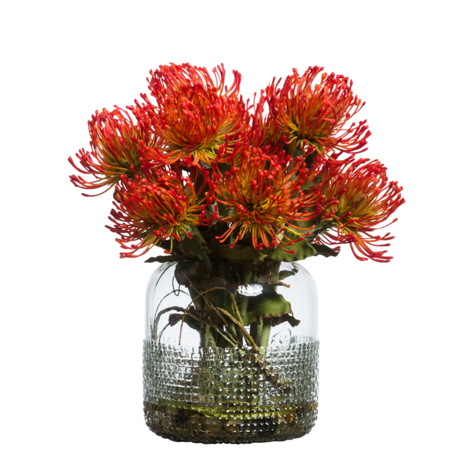 15" Orange Pin Cushion Protea In Waterlike Glass Vase
