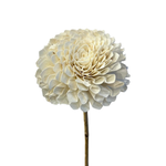 Outside The Box 39" Shola Dalia Hand Made Flower