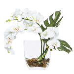 Outside The Box 16" White Phalaenopsis Orchid In Water Like Glass Vase