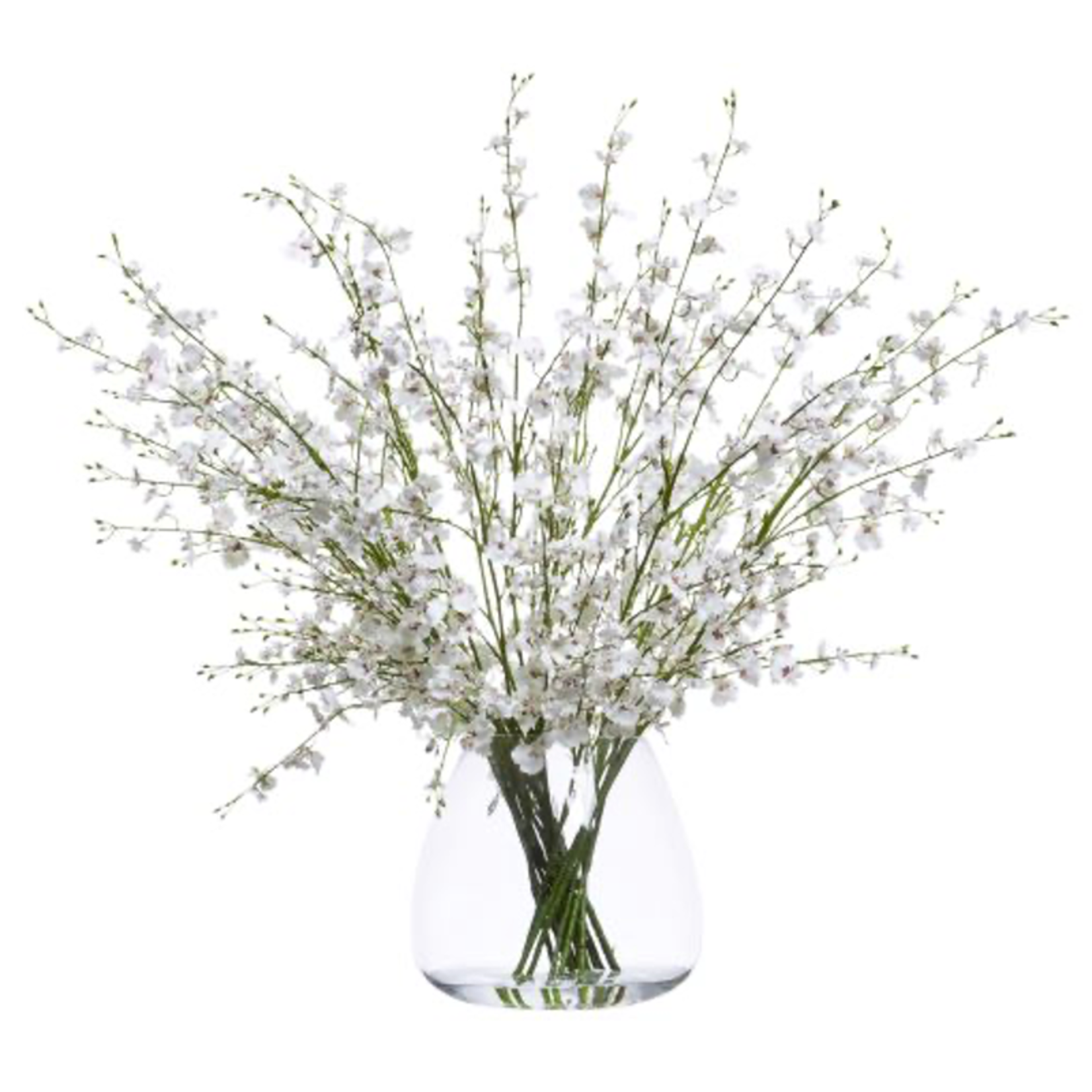 Outside The Box 31" White Oncidium In Water Like Glass Vase