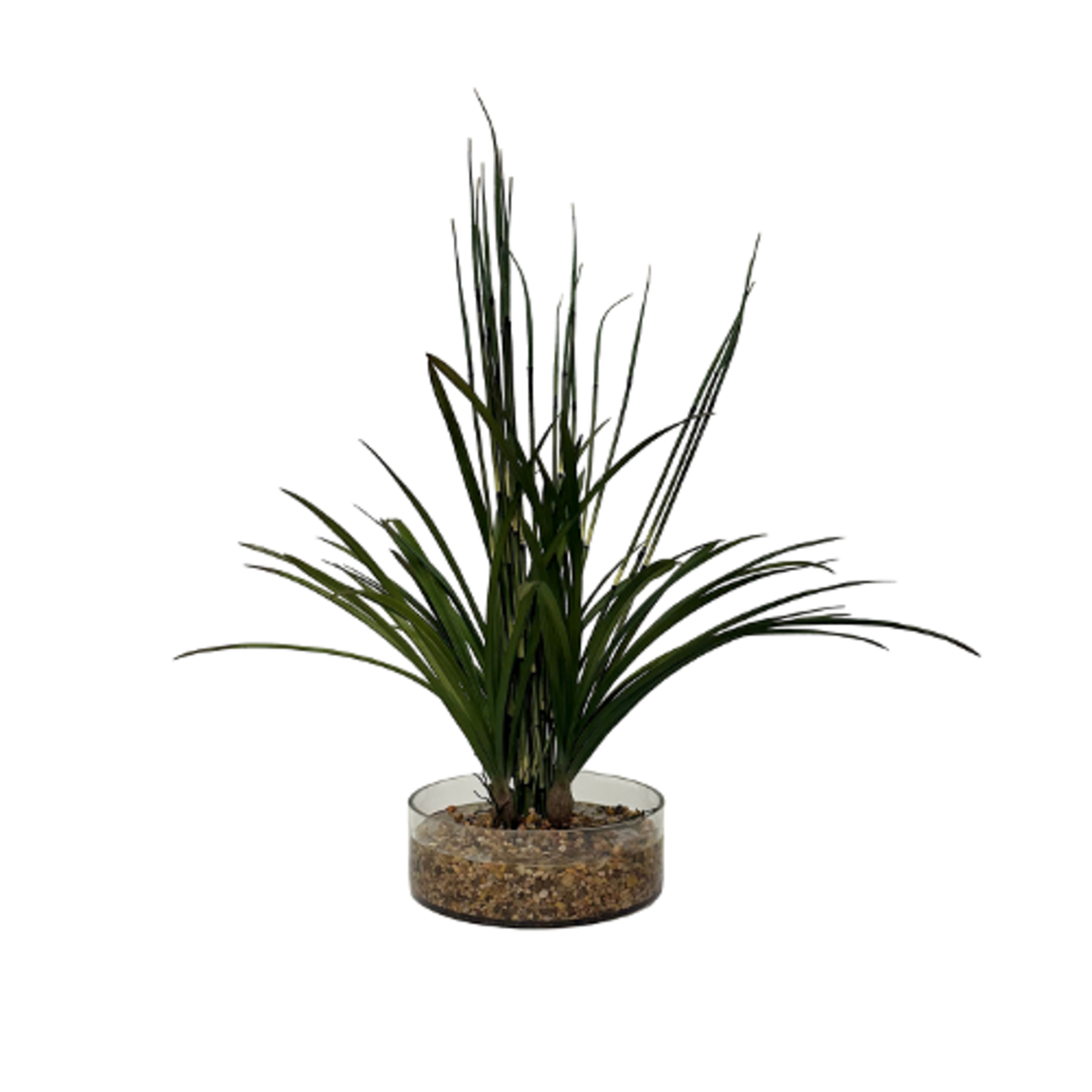 Outside The Box 33" Horsetail Reed & Areca Grass In Glass Bowl