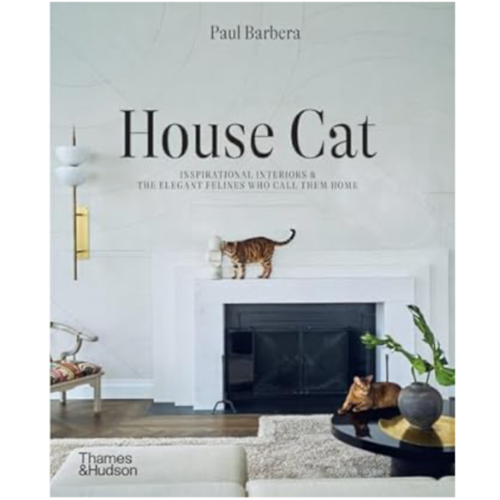 Outside The Box House Cat Hardcover Book