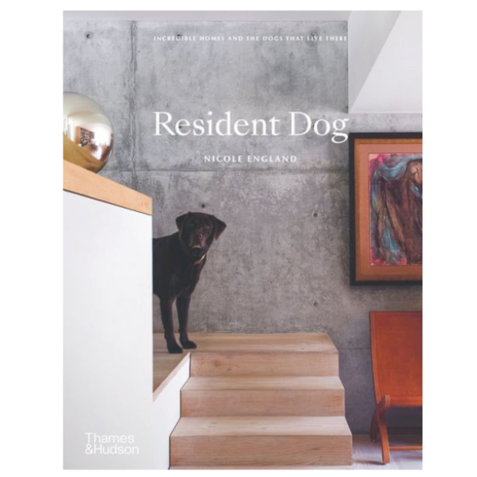 Outside The Box Resident Dog Hardcover Book
