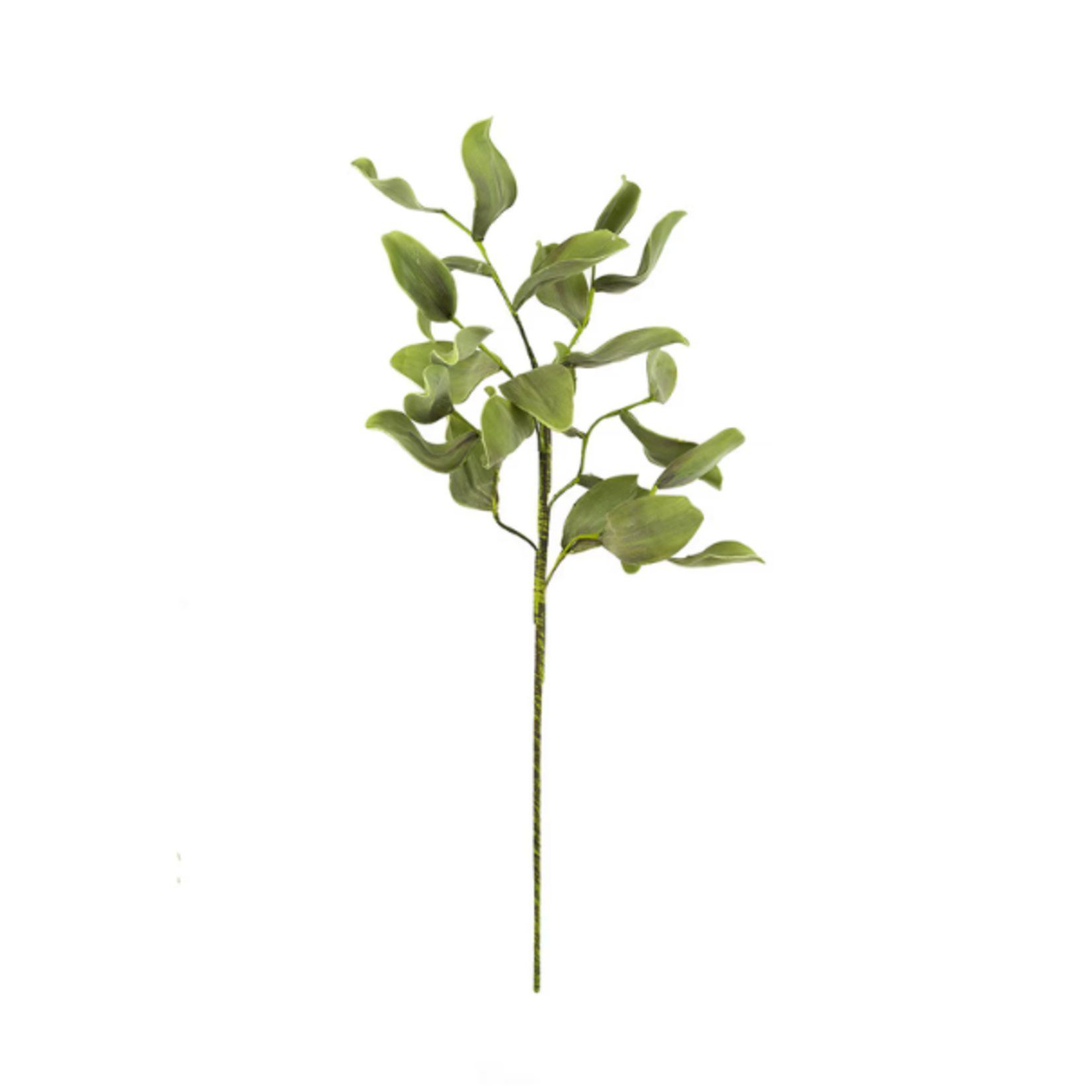 Outside The Box 41" Botanical Greenery Stem Faux Decor