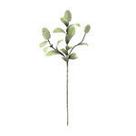 Outside The Box 41" Banksia Spray Stem Faux Decor