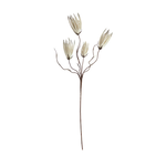 Outside The Box 43" Magnolia Primrue Stem Faux Decor