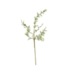 Outside The Box 42" Eucalyptus leaves Branch Faux Decor