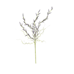Outside The Box 50" Lavender Flower Branch Faux Decor