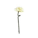 Outside The Box 35" White Wild Flower Stem Faux Decor