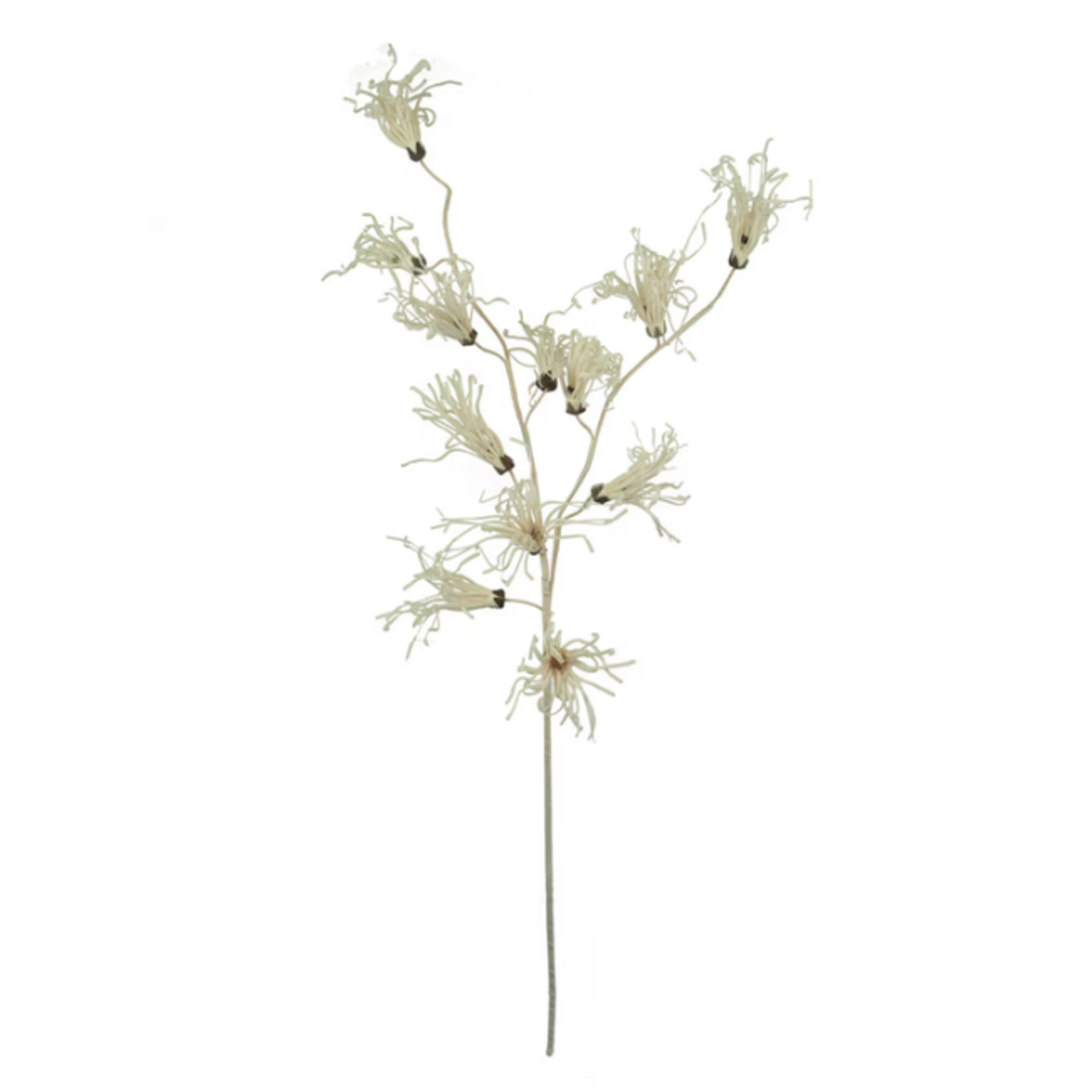 Outside The Box 45" White Clematis Flower Branch Faux Decor