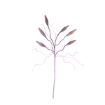 Outside The Box 45" Wild Pink Buds Stem Faux Decor