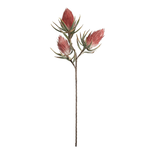 Outside The Box 36" Exotic Iliana Flower Stem Faux Decor