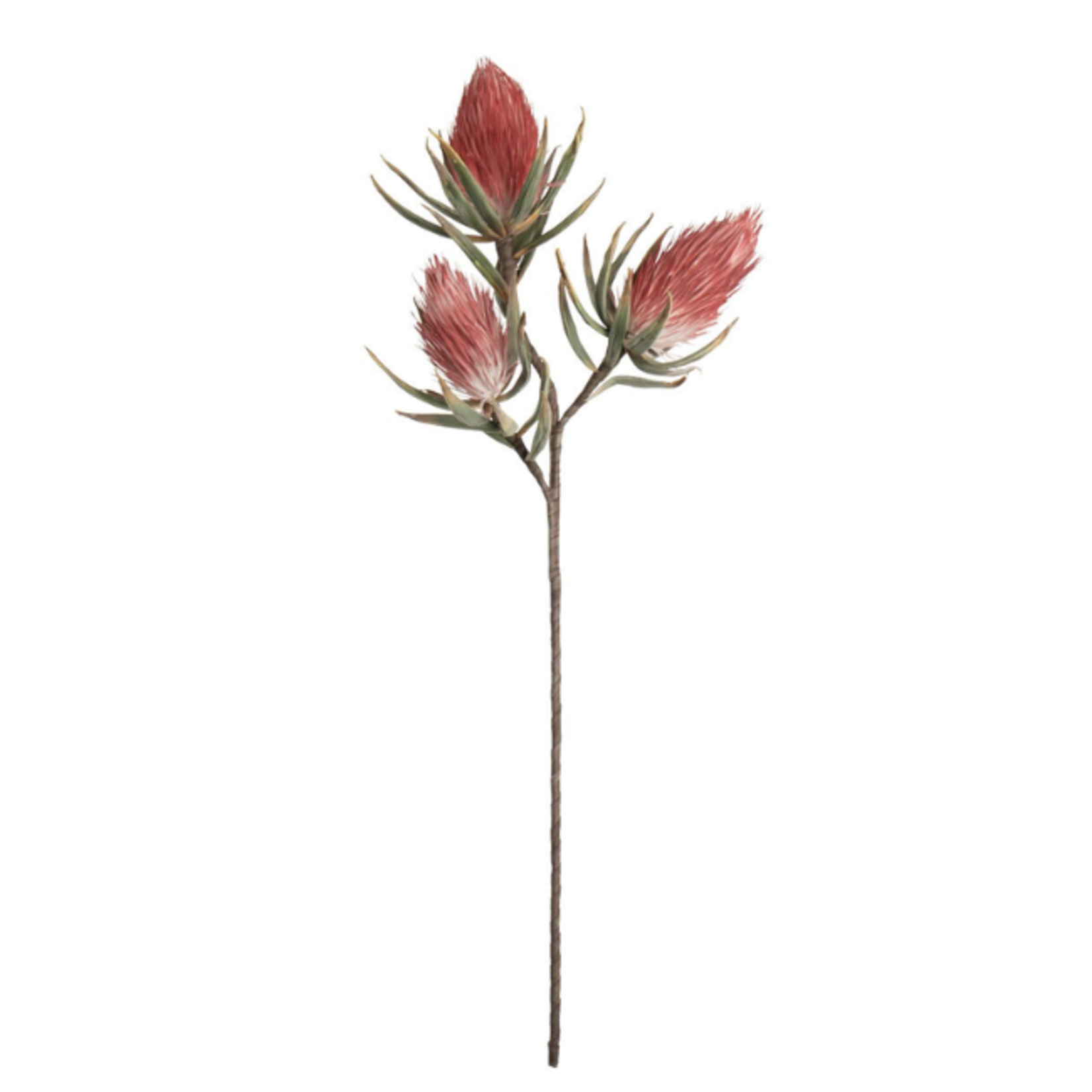 Outside The Box 36" Exotic Iliana Flower Stem Faux Decor