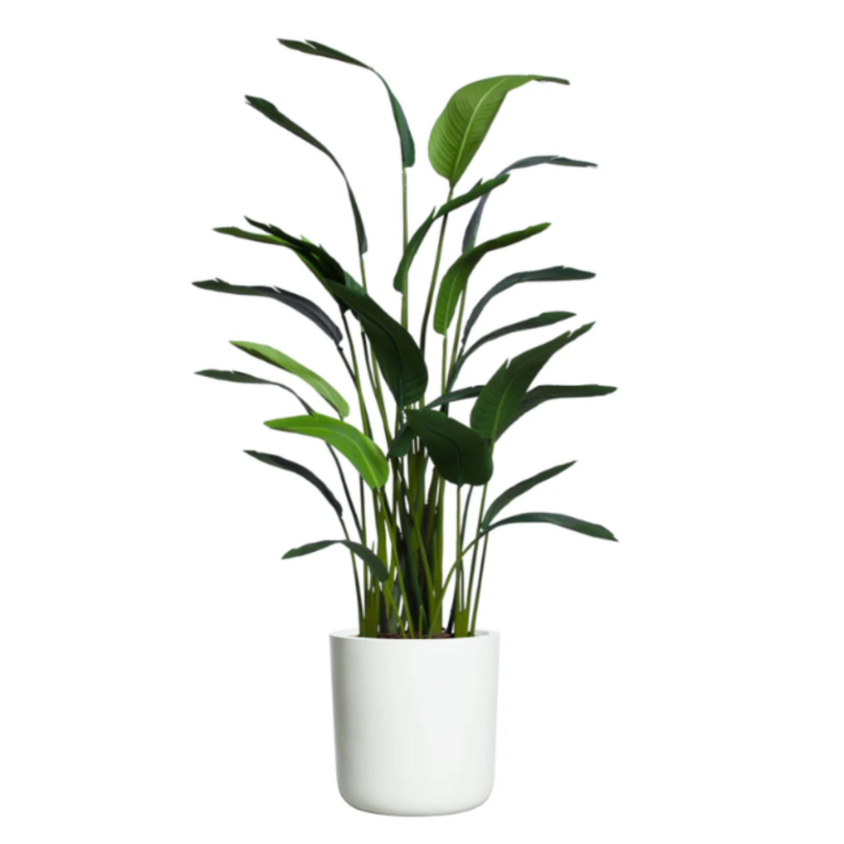 Outside The Box 8" Deluxe Silk Traveler Palm  In White Cylinder Pot