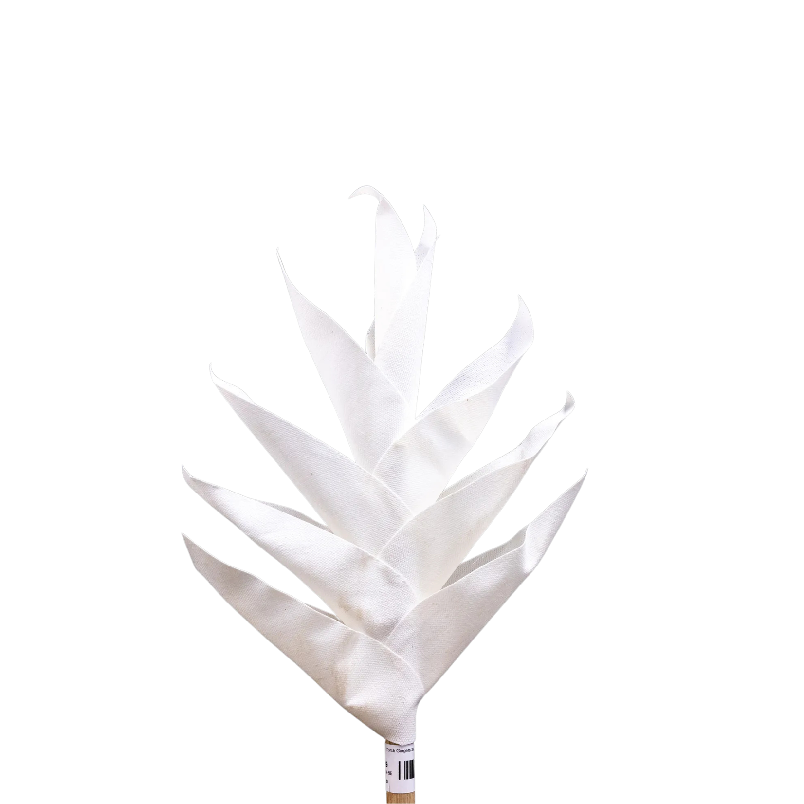 Outside The Box 48" Natural Canvas Handcrafted White Torch Ginger Flower