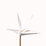 Outside The Box 48" Natural Canvas Handcrafted Bird Of Paradise Flower