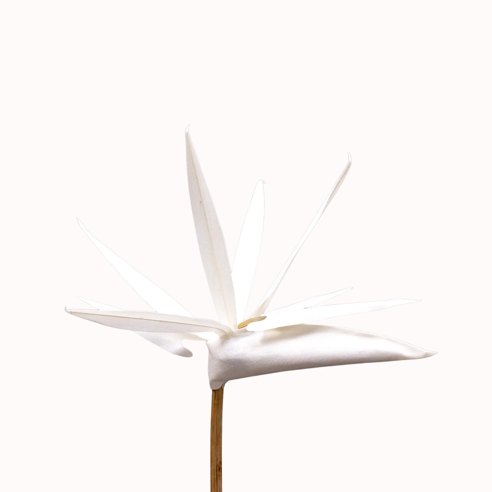 Outside The Box 48" Natural Canvas Handcrafted Bird Of Paradise Flower