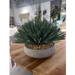 Outside The Box 20" Yucca Rostrata In Gray Newport Bowl