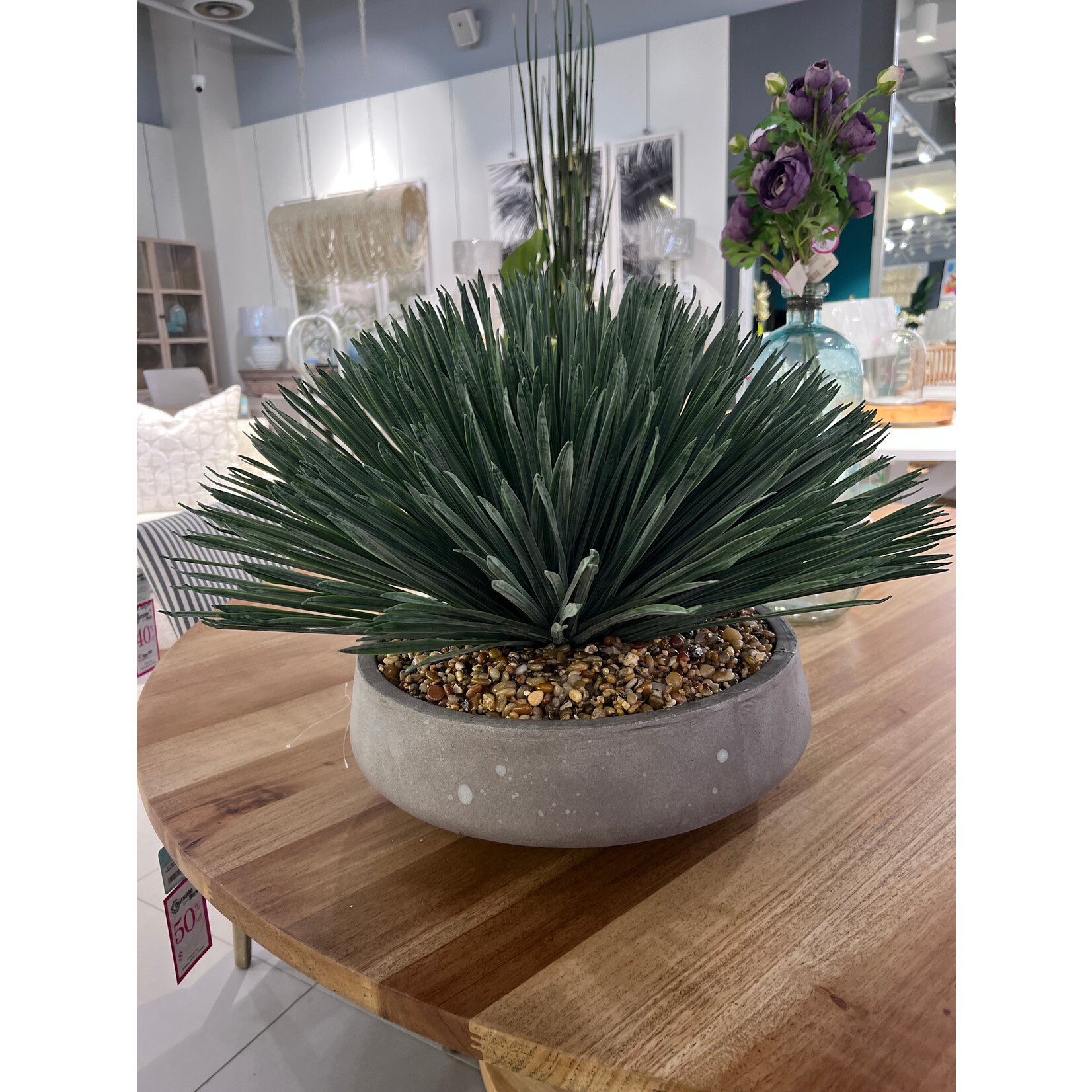 Outside The Box 20" Yucca Rostrata In Gray Newport Bowl