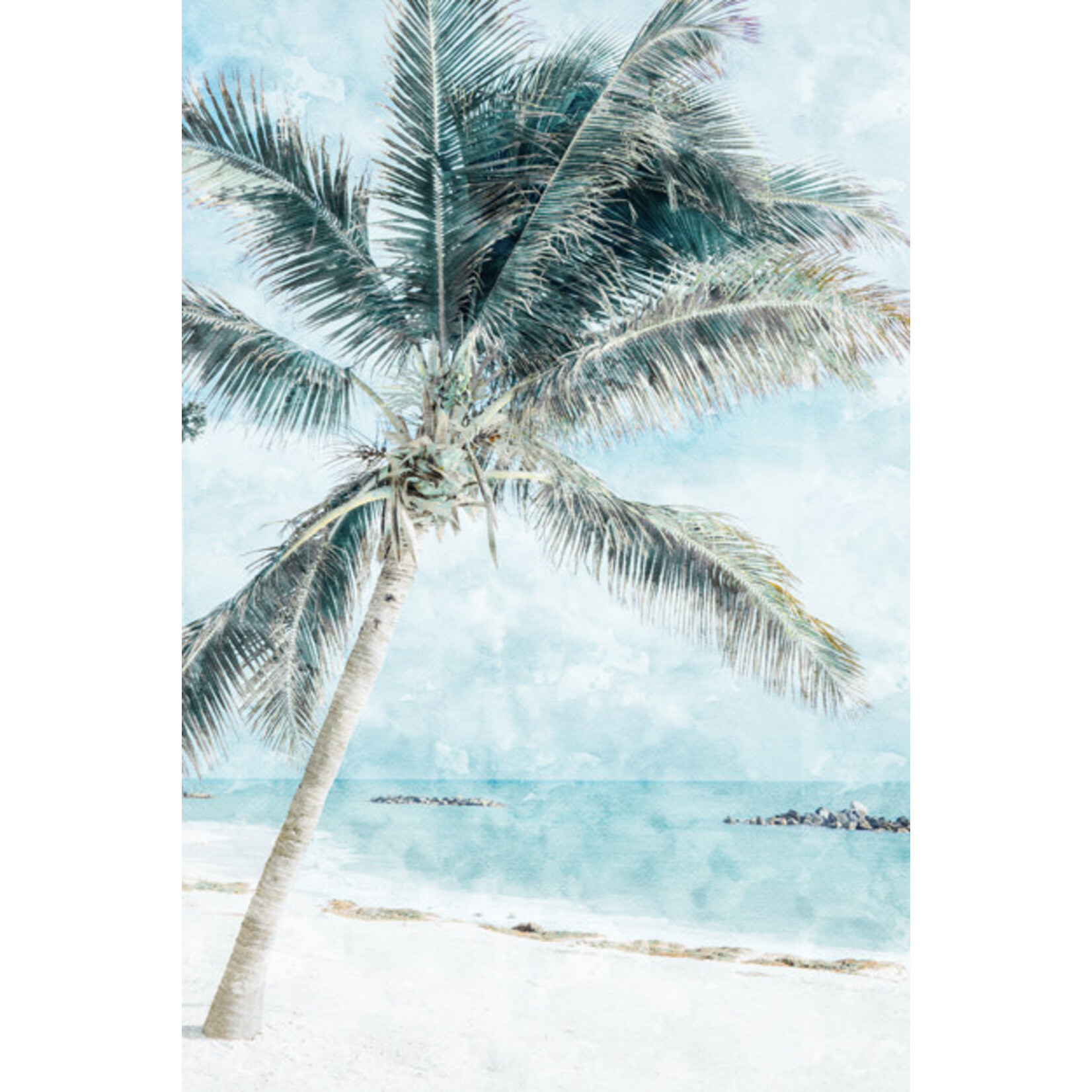 Outside The Box 48x32 Palm Tree Art In Acrylic Box Frame