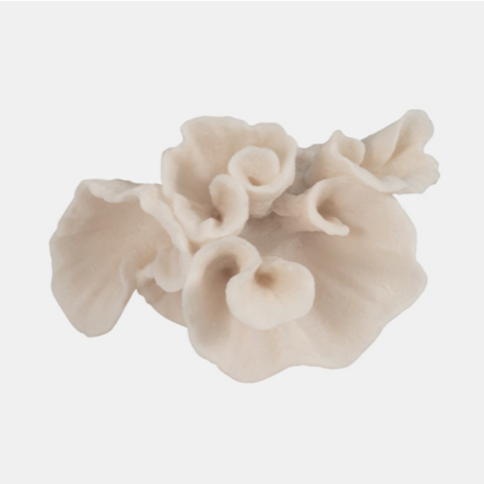 Outside The Box 8" Coastal Coral Ivory Resin Sculpture