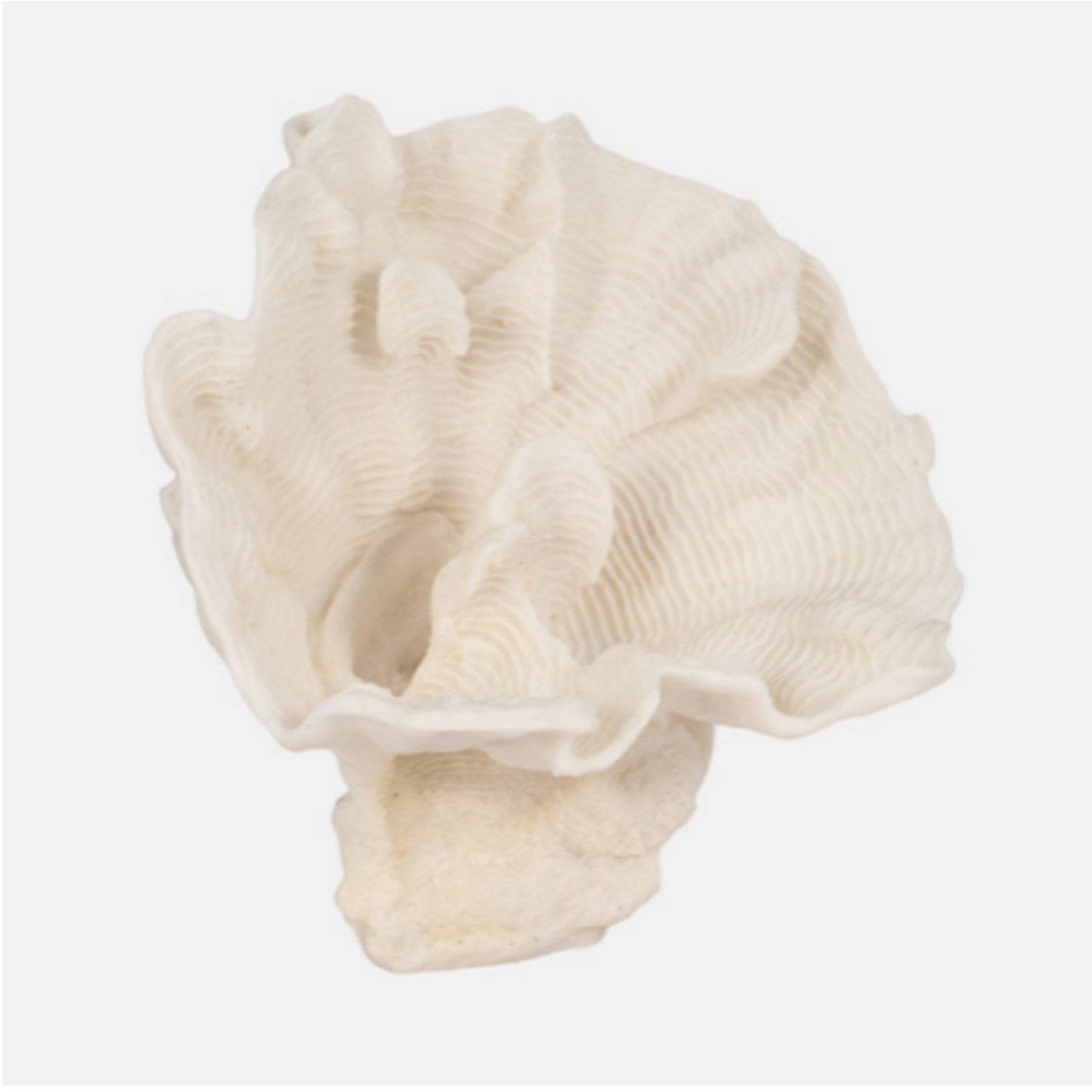 Outside The Box 12" Coastal Ivory Coral Fan  Resin Sculpture