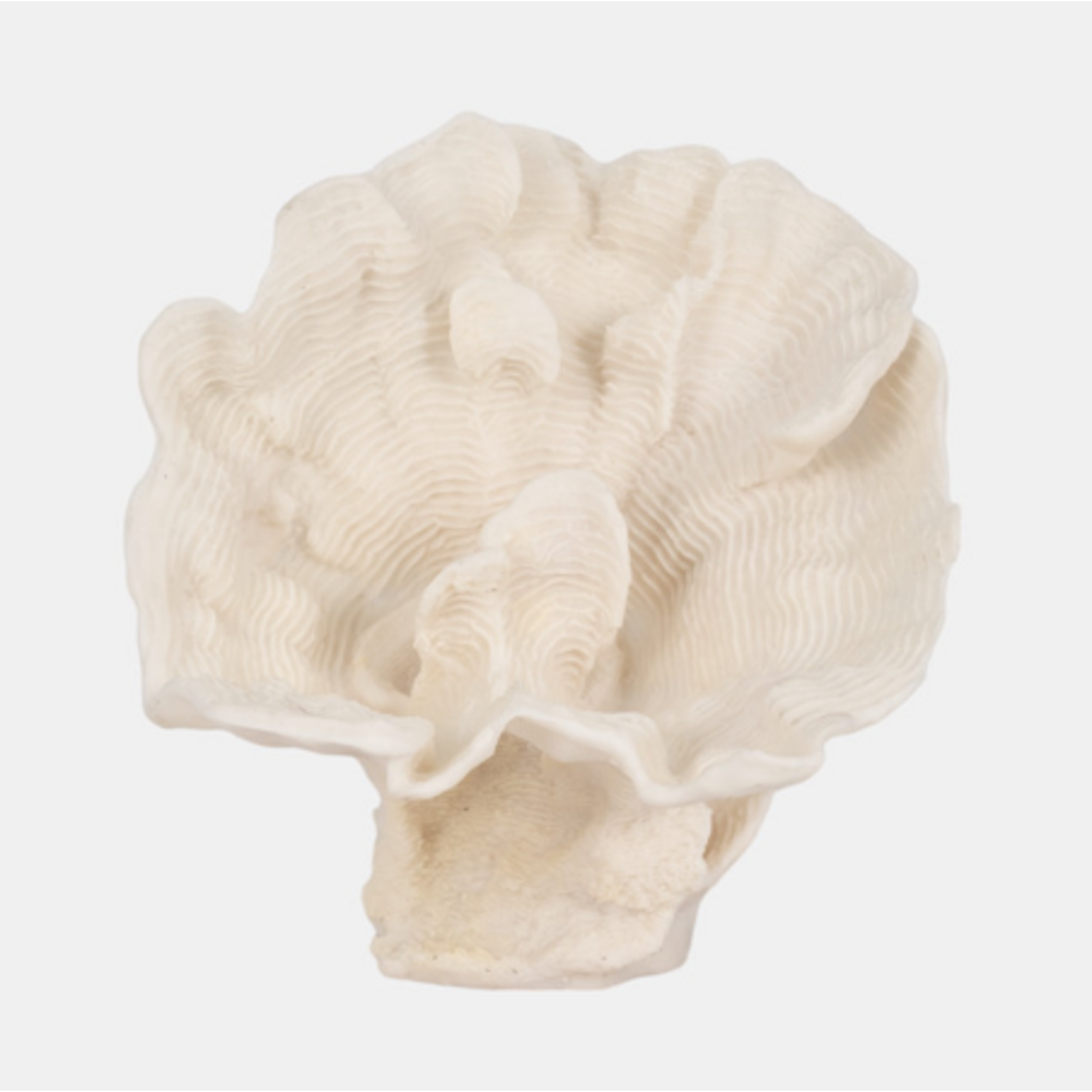 Outside The Box 12" Coastal Ivory Coral Fan  Resin Sculpture
