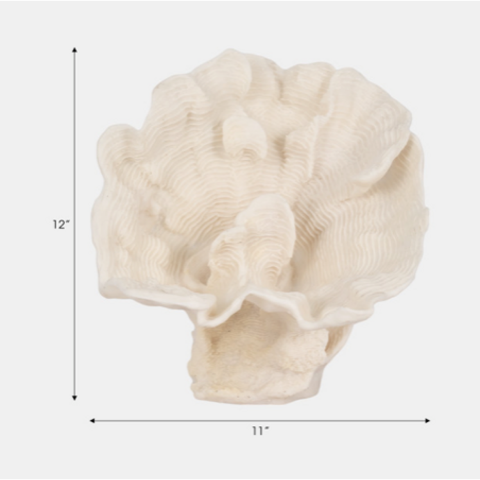 Outside The Box 12" Coastal Ivory Coral Fan  Resin Sculpture