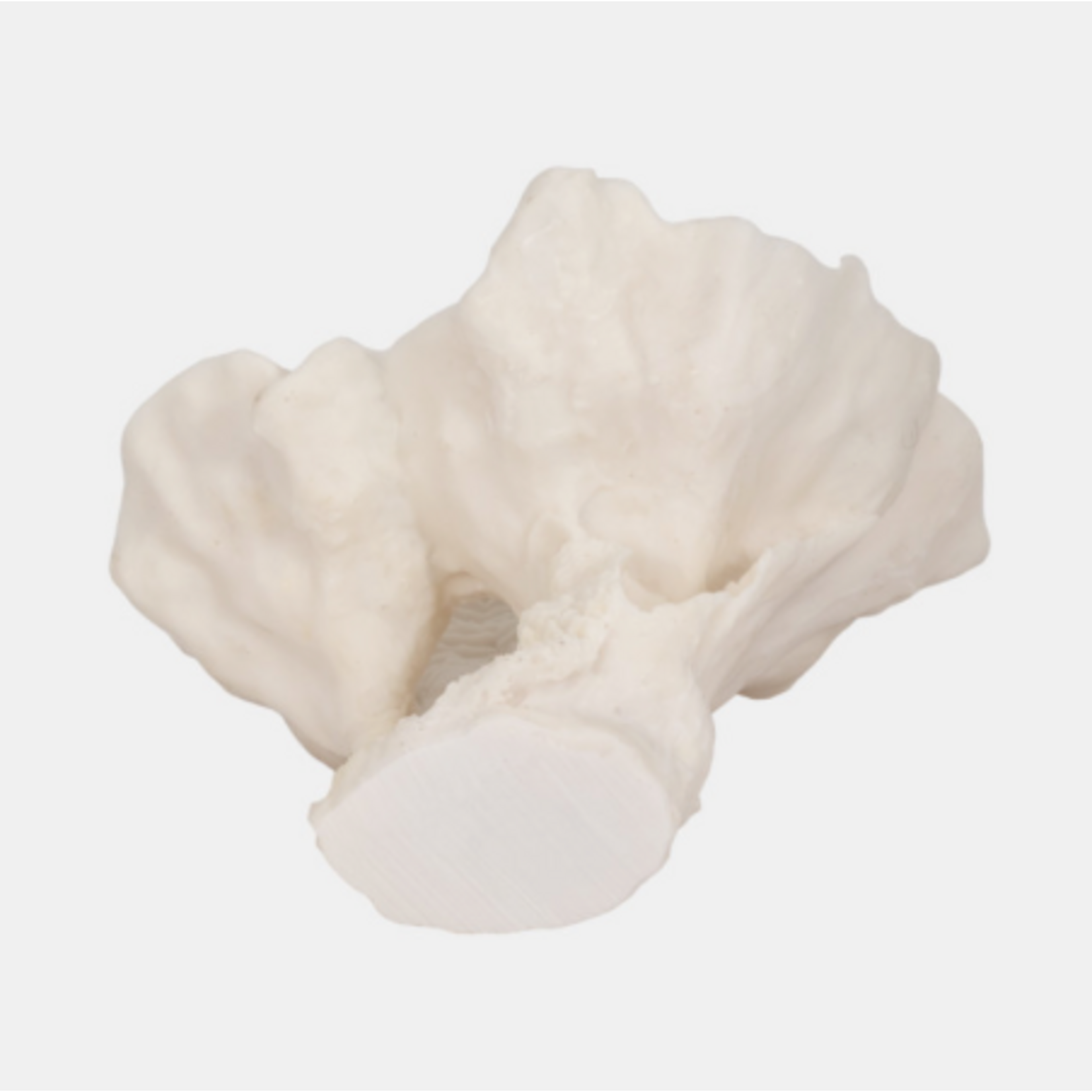 Outside The Box 12" Coastal Ivory Coral Fan  Resin Sculpture